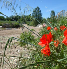 Albi Remblais Recyclés